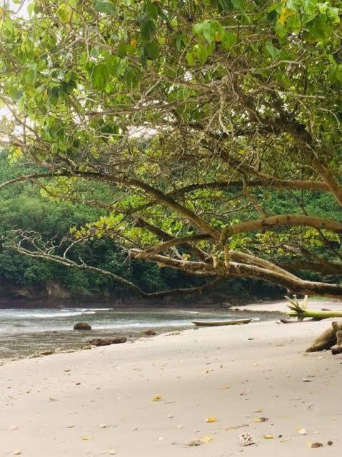 ホテル Sakti Oceanview Nusa Penida Toyapakeh エクステリア 写真